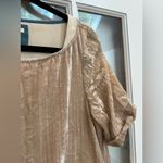 Anthropologie Floreat Gold Champagne Velvet Short Sleeve Dress Women’s Size S Photo 2