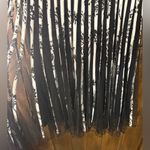 Maner Black and White Striped Dress Photo 1