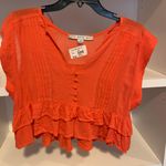 Palmetto Moon Top Photo 0