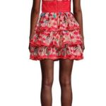 Bronx and Banco Ivanka Embroidered Ruffled Mini Dress Women’s Extra Small Photo 2