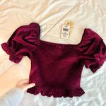 Rewind NWT velvet smocked crop top Photo 1