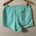 Patagonia  Womens Baggies in Turquoise Shorts - Size Medium Photo 3