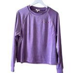 Nordstrom BP PURPLE HYACINTH LOVE Be Proud Inclusive Pride Velour S Photo 1