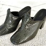 Urban Outfitters Hunter Green Embossed Faux Leather Mule Square Toe Heels Sz 8 Photo 2