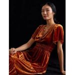 Anthropologie NWT by The Somerset Maxi in Honey Velvet Edition Dress XL Photo 5