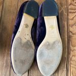 Charlotte Olympia Women’s  purple velvet Kitty  shoes limited edition size 38.5 Photo 2