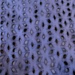 Maison Jules  Navy Blue Mini Skirt Photo 1