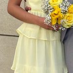 Birdy Grey  Lola Dress Chiffon Photo 1