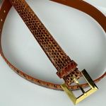 The Ritz Genuine Snake Skin Belt Sz XL Brown Black Photo 2