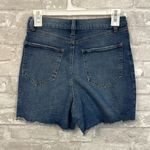 REWASH  Distressed Blue Jean Shorts Mid-Thigh Photo 1