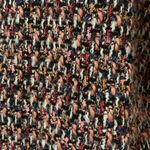 Bar III Jacket Photo 2