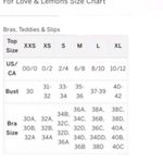 For Love & Lemons NWT Rouge Red Underwire Bustier Top - XXS Photo 5