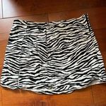 BDG Zebra Print Skirt Photo 0
