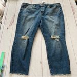 Torrid Jeans NWT Womens 20S Blue Denim High Rise Straight Button Fly Stud Slit Photo 0