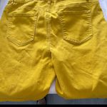D. Jeans  Mustard Bermuda Shorts XL 33" x 10" Photo 1