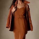 Banana Republic  Rust Dress Photo 0