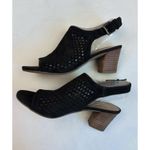 Franco Sarto Franco Sarlo Mandi Blk Suede Block Heel Shoes Peep Toe Buckle Sz 6.5 Sling Back Photo 2