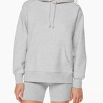 Aritzia Boyfriend Hoodie Photo 0