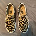 Vans Cheetah Photo 0