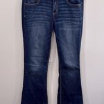 American Eagle Outfitters Blue Artist Flare Jeans Size 14 X Long EUC Photo 0