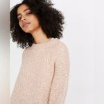 Madewell Light Pink Cotton Wool & Alpaca Blend Crewneck Oversized Baez Sweater Photo 2