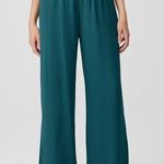 Eileen Fisher  Woman Size XL 100% Silk Georgette Crepe Pant with Slits NWT Photo 0