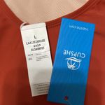 Cupshe Burnt Orange Plunging V-Wire Cross Back Cheeky One Piece Swimsuit Size L Photo 4