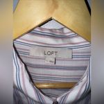 Loft  Pink Blue White Stripe Short Sleeve Collar‎ Button Down Large Photo 2