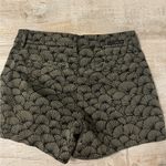 Level 99 High Photo 5