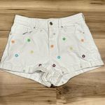 PacSun Eco Flower Power Embroidered Mom Shorts Women’s 27 Photo 1