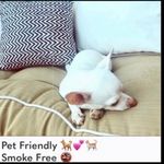 Wildfox 🦊💋  Cindy Top sports bra  in sangria- leggings sold separately Photo 4