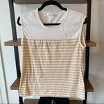 Olive & Oak Striped Tank Photo 0