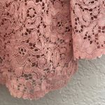 ZARA  Mauve Pink Eyelet Lace Sheer Babydoll Top Soft Girl Coquette Feminine Photo 2