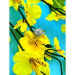 1 carat Moissanite Heart Shaped Cut Ring Moissanite Accents 8 Silver Photo 11