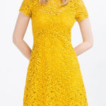 ZARA Basic Yellow Floral A-Line Peter Pan Collar Mini Dress Small Photo 0