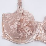 Victoria's Secret  Dream Angel Push-Up Without Padding Velvet Lace Bra Size 34DDD Photo 3