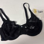 Cabernet Semi Photo 0