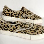 Rocket Dog  Afina Sneaker Photo 2