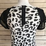 Forever 21 Leopard Print Sheer Short Sleeve Top Photo 3