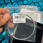 Pandora  Silver Bracelet with Ornate Charm Photo 1