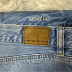American Eagle  Mom Jeans Size 16 Short Distressed Bleach Splatter Photo 3
