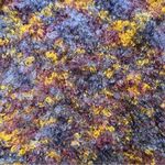 EXPRESS  C. Internationale Hand-Knitted Mohair Sweater, Sz L Photo 11