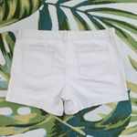 a.n.a  Beige Shadow Stripe High Rise 4" Shorts Size 14 Photo 8