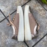 Steve Madden  Neon Napa Mesh Rose Gold Lace Up Sneaker Shoes Size 6 Photo 6