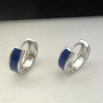 Blue Stripes Small Hoop Earrings for Men Women Streetwear Unisex Style Photo 4