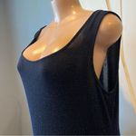 Alex Evenings  Sparkly Maxi Dress navy blue Plus Size 18 sleeveless semi sheer Photo 3