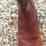 Tory Burch Beautiful Riding Boots Photo 3