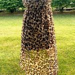 Forever 21  Animal Print Hi-lo Strapless Dress Photo 11