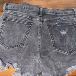 Buckle Willow and root shorts Photo 1