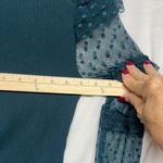 Free People  Dark Teal Sheer Ruffle Sleeve Top Photo 5